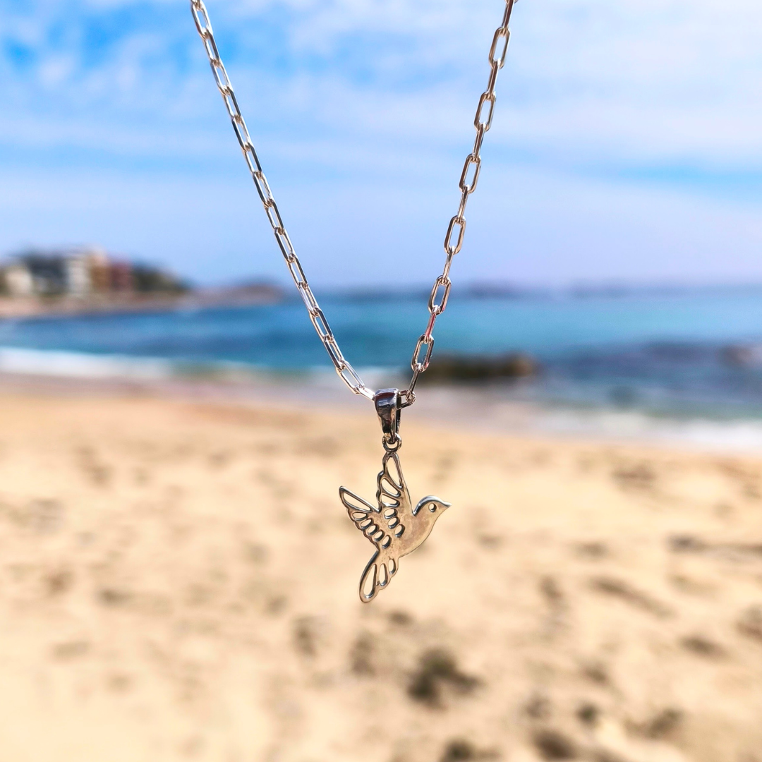 Collar de plata Colibrí y recuerdos 45 cm