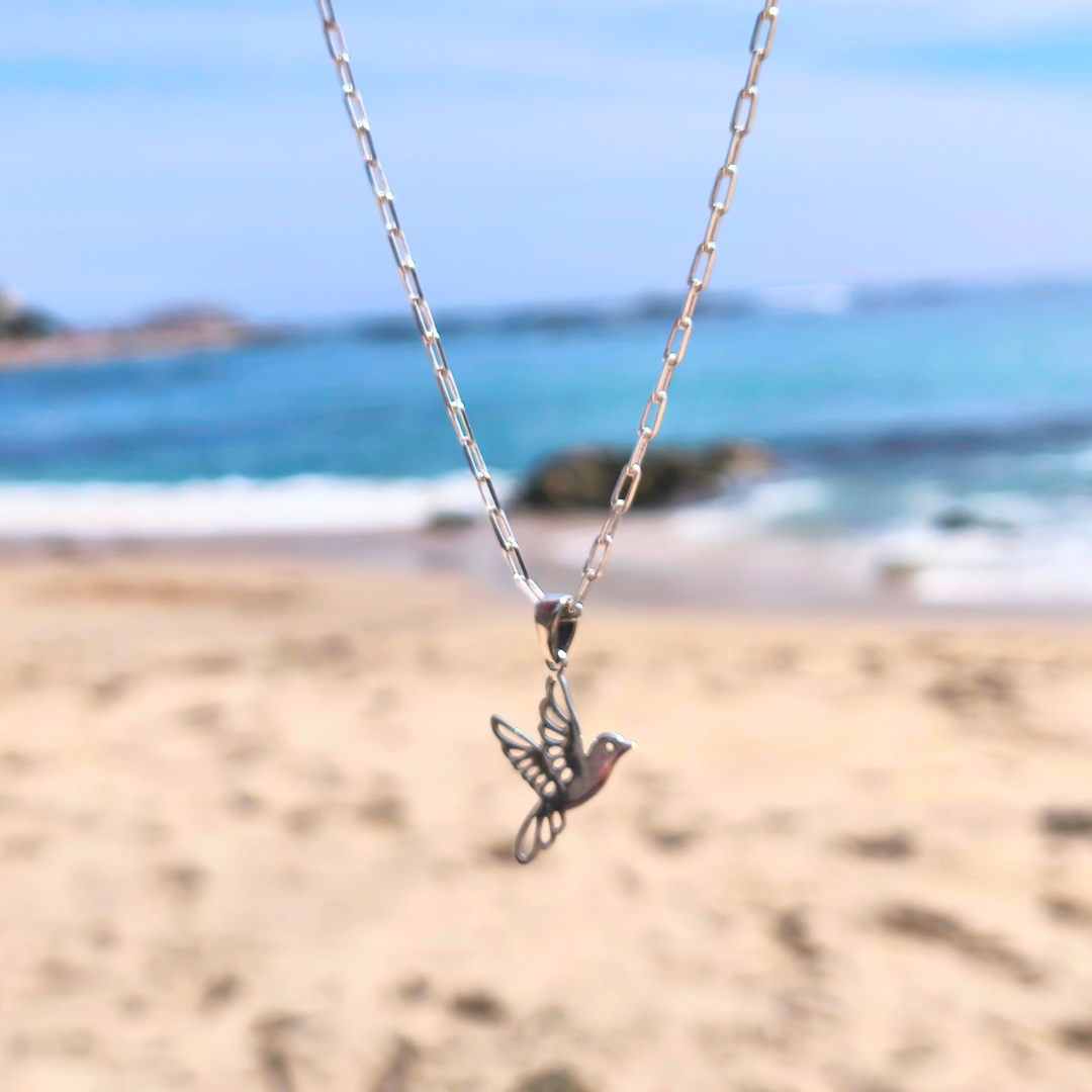 Collar de plata Colibrí y recuerdos 45 cm