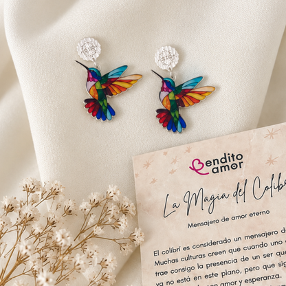 Aros colibrí y nuevos comienzos