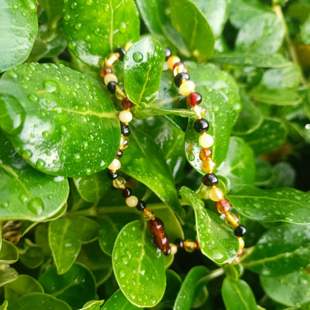Collar ámbar báltico natural 36 cm