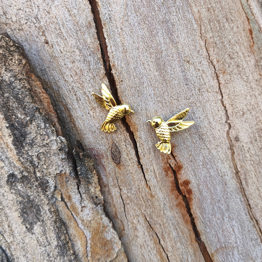 Colibrí mil colores