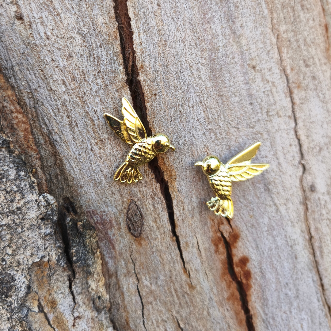 Colibrí mil colores