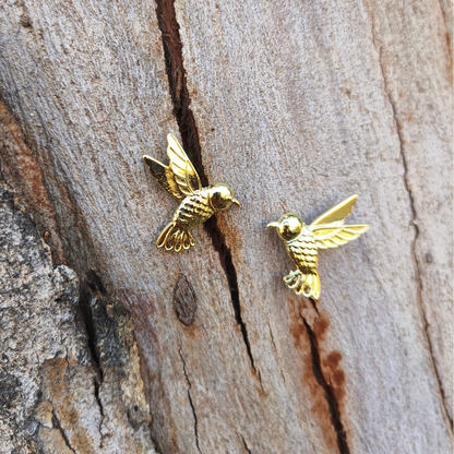 Colibrí mil colores