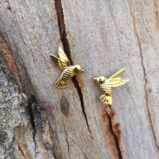 Colibrí mil colores