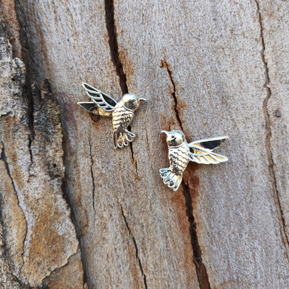 Colibrí mil colores