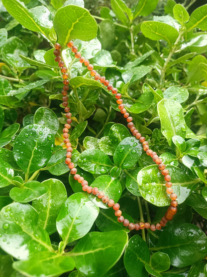 Collar Ámbar Luna Nueva y Resiliencia 50cm