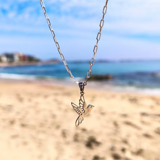 Collar de plata Colibrí y recuerdos 45 cm
