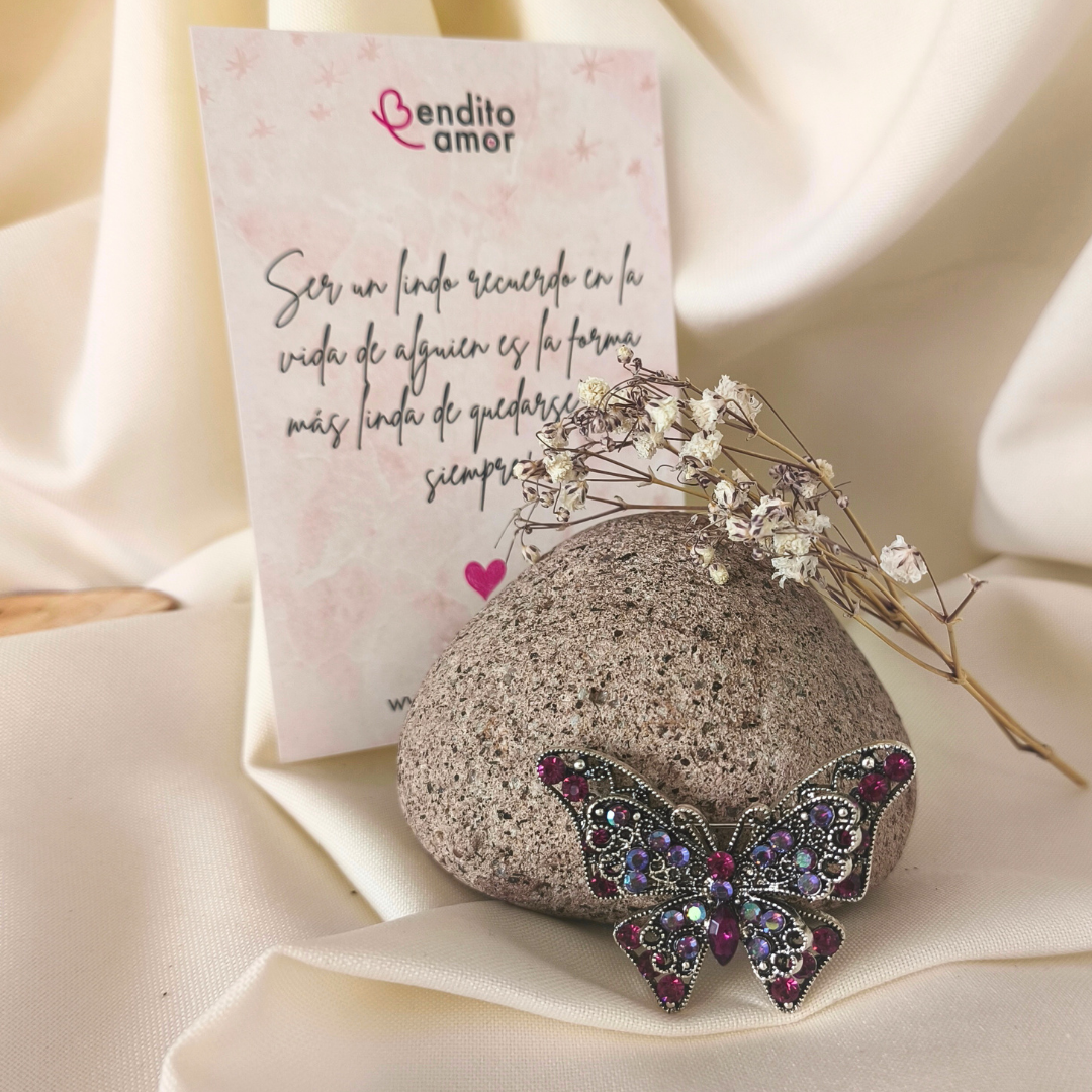 Prendedor Mariposa Circones de colores